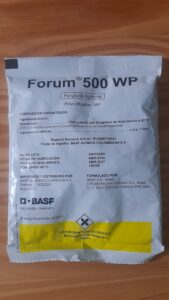 Forum 500WP fungicida sistémico para controlar hongos también en suculentas, leer el modo de uso y los cuidados. Tóxico.